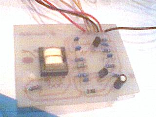 Image1.JPG