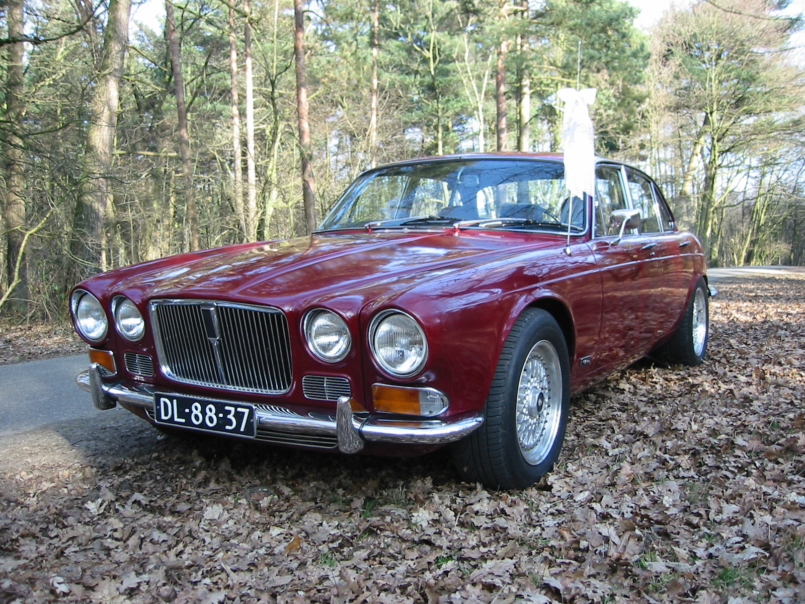 x6 039.jpg